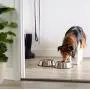 AmazonBasics Stainless Steel Dog Bowl AmazonBasics Stainless Steel Dog Bowl