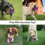 Idepet Dog Squeaky Toys, Plush Dog Toys Food Dispensing Dinosaur Funny Toys Non-Toxic Boredom Play Chew Pet Toy