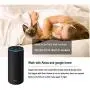 AI Cluster WiFi Door and Windows Sensor Magnets Smart Phone APP Control Doorbell Compatible with Alexa Google Assistant,Wireless Security Alarm Door Open Chime for Home Bussiness Burglar Alert AI Cluster WiFi Door and Windows Sensor Magnets Smart Phone APP Control Doorbell Compatible with Alexa Google Assistant,Wireless Security Alarm Door Open Chime for Home Bussiness Burglar Alert