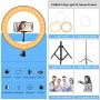 12 Ring Light Kit, LED Beauty Light with 62 Selfie Stand & Cell Phone Mount, Dimmable LED Lamp for Makeup Video Photography Vlogging Blogging Portrait