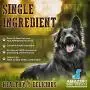 AMAZING DOG TREATS 6 Inch Thin Steer and Bubble Bully Sticks - Premium Dog Chews - All Natural Rawhide Alternative - Long Lasting Dog Chews - 100% Bully Bone Dog Treats - Promotes Canine Dental Health AMAZING DOG TREATS 6 Inch Thin Steer and Bubble Bully Sticks - Premium Dog Chews - All Natural Rawhide Alternative - Long Lasting Dog Chews - 100% Bully Bone Dog Treats - Promotes Canine Dental Health