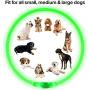 BSEEN LED Dog Collar, USB Rechargeable, Glowing Pet Dog Collar for Night Safety, Fashion Light up Collar for Small Medium Large dogs