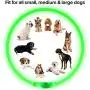 BSEEN LED Dog Collar, USB Rechargeable, Glowing Pet Dog Collar for Night Safety, Fashion Light up Collar for Small Medium Large dogs BSEEN LED Dog Collar, USB Rechargeable, Glowing Pet Dog Collar for Night Safety, Fashion Light up Collar for Small Medium Large dogs