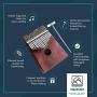 TimberTunes 17 Key Kalimba Thumb Finger Piano Therapy Musical Instrument for Adults Children, Solid Mahogany Wood, Engraved Elk Antler,Tuning Hammer and Music Book, Engraved Keys, Velvet Case, Unique