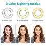 Movo Desk Ring Light with Stand and Phone Holder with VXR10 Video Microphone Compatible with iPhone, Android Smartphones - Smartphone Video Recording Kit Perfect for Vlogging and YouTube Equipment