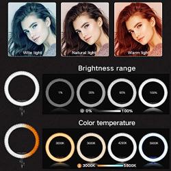 Ring Light with Stand for ipad and Remote Control 19 Make up Bi-Color 3000K-5800K CRI≥97 & TLCI ≥99 with 4 Soft Color Filters for Tiktok YouTube, Facebook Live,Self-Portrait and Blogging