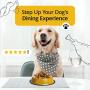 American Pet Supplies Dog Bowls, Set of 2 Non Skid & Non Tip Bowls for Puppies and Dogs