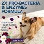 Simple Solution Pet Stain and Odor Remover | Enzymatic Cleaner with 2X Pro-Bacteria Cleaning Power