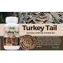 Premium Organic Turkey Tail Mushroom Capsules by Parker Naturals Supports Immune System Health. Natures Original Superfood. 120 Capsules …