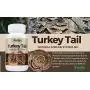 Premium Organic Turkey Tail Mushroom Capsules by Parker Naturals Supports Immune System Health. Natures Original Superfood. 120 Capsules … Premium Organic Turkey Tail Mushroom Capsules by Parker Naturals Supports Immune System Health. Natures Original Superfood. 120 Capsules …