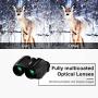 SGODDE Compact Binoculars for Adult Kids 10x25 Waterproof Binocular Weak Light Night Vision Folding High Powered Clear Binoculars Lightweight Bird Watching