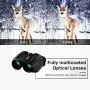 SGODDE Compact Binoculars for Adult Kids 10x25 Waterproof Binocular Weak Light Night Vision Folding High Powered Clear Binoculars Lightweight Bird Watching SGODDE Compact Binoculars for Adult Kids 10x25 Waterproof Binocular Weak Light Night Vision Folding High Powered Clear Binoculars Lightweight Bird Watching