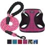 matilor 2 Packs Dog Harness Step-in Breathable Puppy Cat Dog Vest Harnesses for Small Medium Dogs