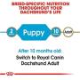 Royal Canin Breed Health Nutrition Dachshund Puppy Dry Dog Food