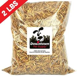 Downtown Pet Supply Dried Mealworms 100% Natural Treats for Wild Birds, Chickens, Reptiles, Fish - Food for Birds, Turkeys