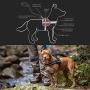 EzyDog Convert Trail-Ready Dog Harness
