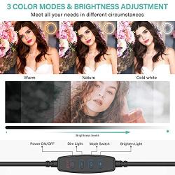 Selfie Ring Light 10" with Tripod Stand & Phone Holder for Live Streaming & YouTube Video, Makeup Ring Light & Dimmable Desk Ring Light with Wireless Remote for Photography with iPhone Android