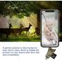 Liplasting Trail Game Camera Viewer SD Card Reader for iPhone iPad Mac & Android, 4 in 1 SD/Micro SD/TF Memory Card Reader Adapter to View Hunting Game Camera Photos or Videos on Smartphone