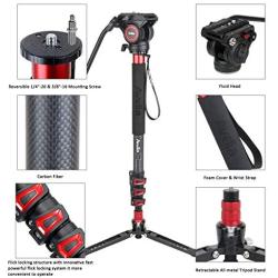 Avella CD324 Carbon Fiber Video Monopod Kit, with Fluid Head and Removable feet, 71 Inch Max Load 13.2 LB for DSLR and Video Camera