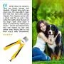 DakPets Dog & Cat Pets Nail Clippers and Trimmers - with Safety Guard to Avoid Over Cutting, Free Nail File, Razor Sharp Blade - Professional Grooming Tool for Large and Small Animals DakPets Dog & Cat Pets Nail Clippers and Trimmers - with Safety Guard to Avoid Over Cutting, Free Nail File, Razor Sharp Blade - Professional Grooming Tool for Large and Small Animals