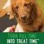 GREENIES Pill Pockets Natural Dog Treats, Capsule Size, Peanut Butter Flavor GREENIES Pill Pockets Natural Dog Treats, Capsule Size, Peanut Butter Flavor