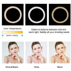 Zomei Dimmable Ring Light 16-Inch Led Beauty Makeup Photography Fill Light with Foldable Tripod Stand Cellphone Holder for Camera Phone YouTube Live Streaming Selfie Video Studio Shooting