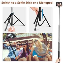 10" Selfie Ring Light with Tripod Stand & Cell Phone Holder for Live Stream/Makeup | Dimmable Mini Floor Table Camera Ringlight for YouTube TikTok Video/Photography