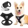 SCENEREAL Dog Harness with Retractable Leash Set - Soft Mesh Puppy Harness and Leash, No Pull Padded Vest with 16.4 FT Leash for Small Medium Breeds Dogs & Cats, Black