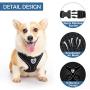 SCENEREAL Dog Harness with Retractable Leash Set - Soft Mesh Puppy Harness and Leash, No Pull Padded Vest with 16.4 FT Leash for Small Medium Breeds Dogs & Cats, Black