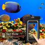 JOTO Universal Waterproof Pouch Phone Dry Bag Underwater Case for iPhone 11 Pro Max XS Max XR X 8 7 6S Plus SE 2020 Galaxy Pixel up to 6.9", Waterproof Case for Pool Beach Swimming Kayak Travel -Black