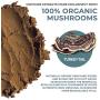 Organic Turkey Tail Mushroom Extract Powder, Vegan & Organic Turkey Tail Bulk Powder Supplement for Immune Support, Wellness & Vitality (45g) Non-GMO & Safe for Pets, Verified Levels of Beta-Glucans