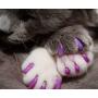 Kitty Caps Kitty Caps Nail Caps for Cats | Safe & Stylish Alternative to Declawing for Cats | Kitty Nail Caps Stop Snags and Scratches | Available in Multiple Sizes, Styles, and Colors