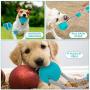 CHARMINER Pet Molar Bite Toy, Self Playing Dog Toy Suction Cup, Rubber Chew Ball Toy with Rope, Tug Dog Toy for Playing Tugging Pulling Chewing, Fit for Small, Large Dogs/Cats