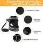 rabbitgoo Cat Harness and Leash Set for Walking Escape Proof, Adjustable Soft Kittens Vest with Reflective Strip for Extra Small and Small Cats, Step-in Comfortable Outdoor Vest