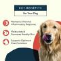 Petlab Co. Itch Relief Chews for Dogs | Anti Itch Dog Chews for Soothing Itchy Dog Skin | Turmeric Curcumin, Fatty Acids, and Hone