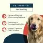 Petlab Co. Itch Relief Chews for Dogs | Anti Itch Dog Chews for Soothing Itchy Dog Skin | Turmeric Curcumin, Fatty Acids, and Hone Petlab Co. Itch Relief Chews for Dogs | Anti Itch Dog Chews for Soothing Itchy Dog Skin | Turmeric Curcumin, Fatty Acids, and Hone