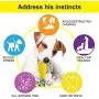 Dog Toothbrush Teeth Cleaning Chew Toys for Aggressive Chewer - Indestructible Interactive Treat Toys for Large Medium Small Dogs - Brushing Stick Dental Oral Care for Pet - Fun to Chew and Fetch