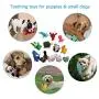 LEGEND SANDY Squeaky Plush Dog Toy Pack for Puppy, Small Stuffed Puppy Chew Toys 12 Dog Toys Bulk with Squeakers, Cute Soft Pet Toy for Small Medium Size Dogs