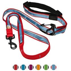 Kurgo 6 in 1 Hands Free Dog Leash | Reflective Running Belt Leash for Dogs | Crossbody & Waist Belt Leash | Carabiner Clip | Padded Handle | For Training, Hiking, or Jogging | Quantum Leash | 6 colors