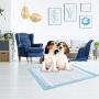 None Brand PetsBark Puppy Pads, Training and Pee Pads for Dogs