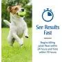 PetArmor for Dogs, Flea and Tick Treatment for Large Dogs (45-88 Pounds), Includes 3 Month Supply of Topical Flea Treatments PetArmor for Dogs, Flea and Tick Treatment for Large Dogs (45-88 Pounds), Includes 3 Month Supply of Topical Flea Treatments