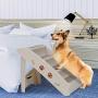 Nova Microdermabrasion Pet Dog Stairs Steps for high Bed for Small Dogs Washable Carpet Foldable Plastic Nova Microdermabrasion Pet Dog Stairs Steps for high Bed for Small Dogs Washable Carpet Foldable Plastic