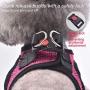 matilor 2 Packs Dog Harness Step-in Breathable Puppy Cat Dog Vest Harnesses for Small Medium Dogs