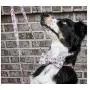 Unique Style Paws Dog Collar Bow tie Collar Adjustable Collars for Dogs and Cats Small Medium Large Unique Style Paws Dog Collar Bow tie Collar Adjustable Collars for Dogs and Cats Small Medium Large