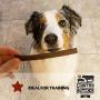 The Country Butcher Pure Premiums Natural Dog Treats, Made in USA, 4oz Resealable Bags