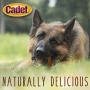 Cadet Bully Sticks Premium Natural Single Ingredient Long Lasting High Protein Dog Treats