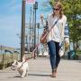 Kurgo 6 in 1 Hands Free Dog Leash | Reflective Running Belt Leash for Dogs | Crossbody & Waist Belt Leash | Carabiner Clip | Padded Handle | For Training, Hiking, or Jogging | Quantum Leash | 6 colors