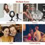 Lomanda 10" Selfie Ring Light with Tripod Stand Ring Light with Cell Phone Holder 3 Light Modes & 10 Brightness Level Multi-Angle Fill Light for YouTube Video/Photography Compatible
