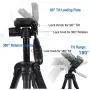 Regetek Camera Tripod Travel Monopod (70" Aluminum Professional Video Camera Mount Leg) Adjustable Stand with Flexible Head for Canon Nikon Dv DSLR Camcorder Gopro Cam& Carry Bag & Cellphone Mount