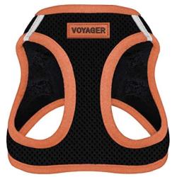 Voyager Step-in Air Dog Harness - All Weather Mesh, Step in Vest Harness for Small and Medium Dogs by Best Pet Supplies